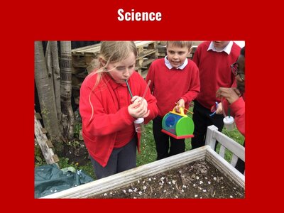 Image of Curriculum - Science - Living Things at School