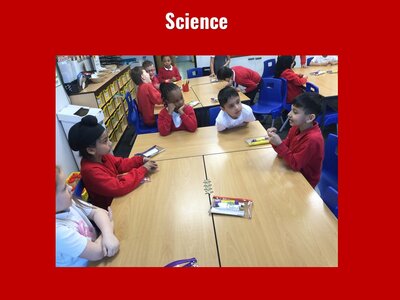 Image of Curriculum - Science - Light, Seeds & Water