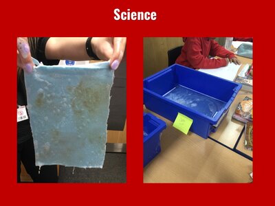 Image of Curriculum - Science - Washing Powders
