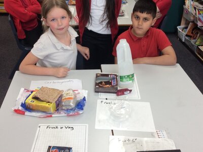 Image of Year 3 (Class 8) - Science - Food Groups