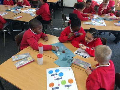 Image of Year 4 (Class 11) - Science - Rocks