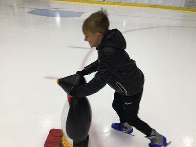 Image of Year 4 (Class 12) - Ice Skating