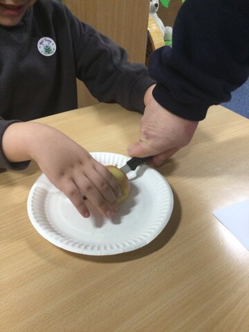 Image of Year 1 (Class 4) - Design Technology - Chopping Fruit