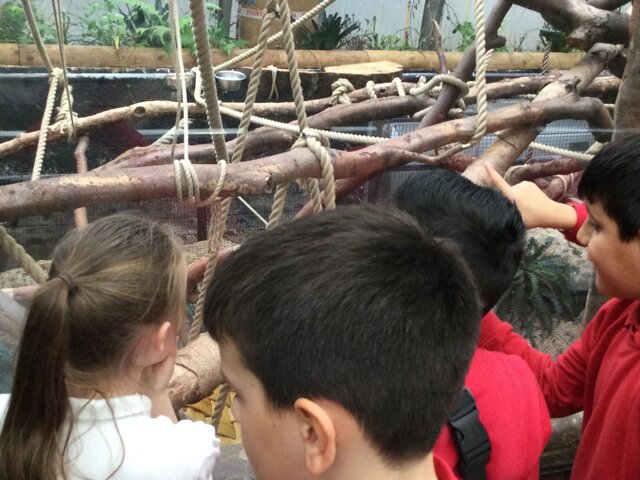 Image of Year 4 (Class 11) - Geography - Tropical World Trip