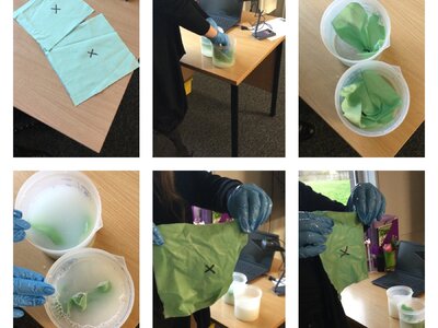 Image of Year 5 (Class 13) - Science - Washing Powders