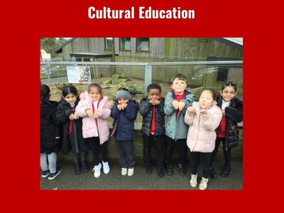 Image of Curriculum - Cultural Education - Cannon Hall Farm Trip