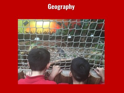 Image of Curriculum - Geography - Tropical World Trip (Class 11)