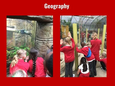 Image of Curriculum - Geography - Tropical World Trip (Class 9)