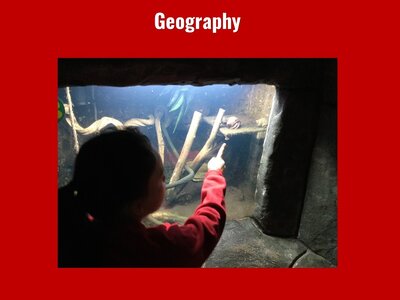 Image of Curriculum - Geography - Tropical World Trip