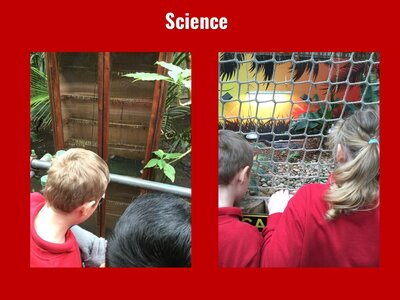Image of Curriculum - Science - Tropical World Trip (Class 9)