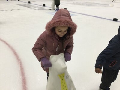 Image of Year 3 (Class 9) - P.E - Ice Skating