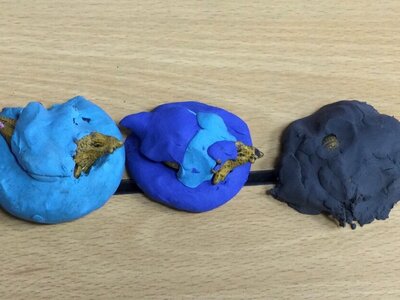 Image of Year 4 (Class 11) - Science - Dinosaur Fossils
