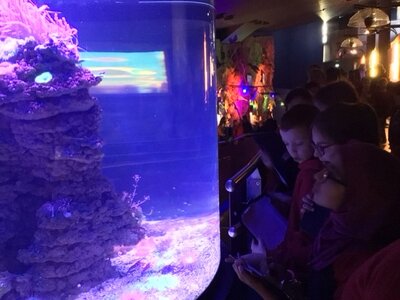 Image of Year 5 (Class 15) - Science - Trip to The Deep