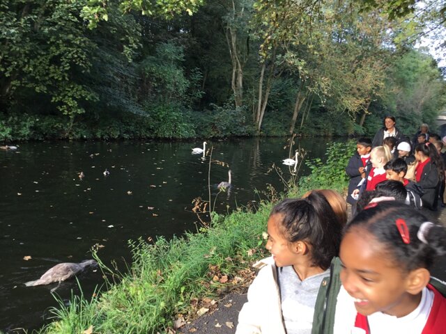 Image of Year 3 (Class 8) - Geography - Exploring the Local Area