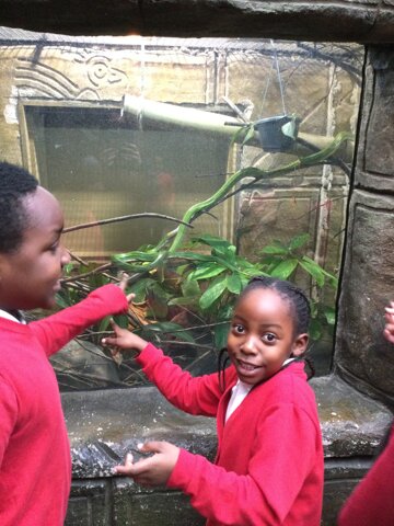 Image of Year 3 (Class 9) - Geography / Science - Tropical World Trip