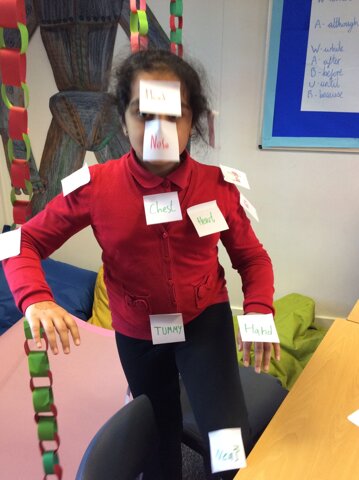 Image of Year 4 (Class 12) - Science - Body Parts