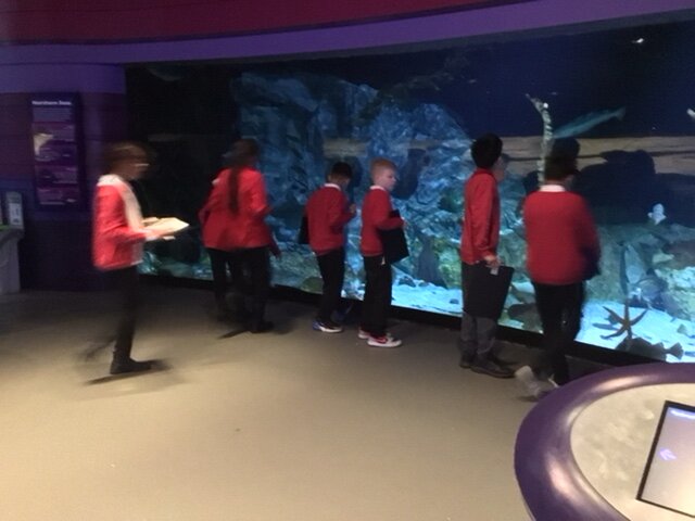 Image of Year 5 (Class 13) - Science - Trip to The Deep