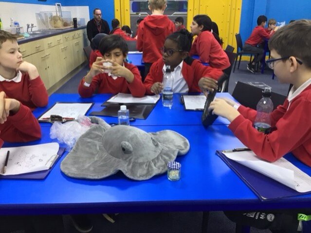 Image of Year 5 (Class 14) - Science - Trip to the Deep