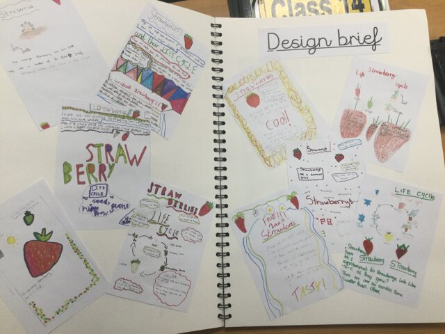 Image of Year 5 (Class 14) - Design Technology - Strawberries