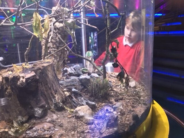 Image of Year 6 (Class 15) - Science - Trip to The Deep
