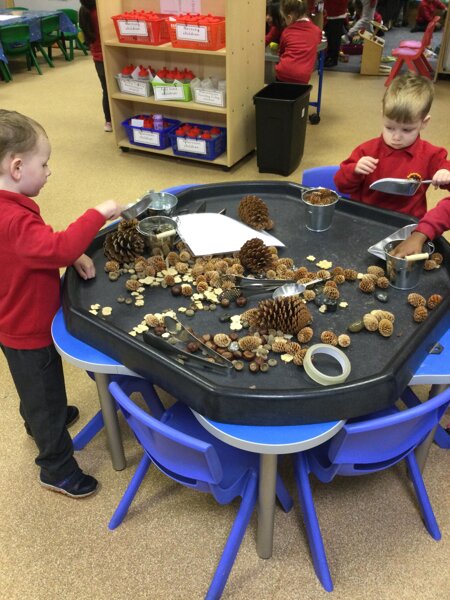 Image of Nursery - Rocks and Hedgehogs