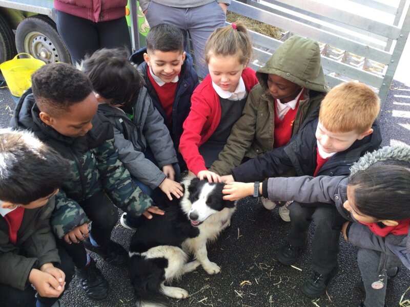 Image of Year 1 (Class 3) - Farm Visit